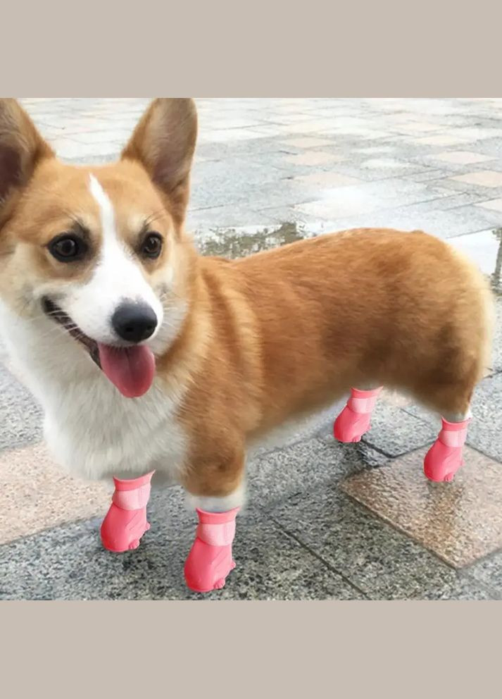 Гумове взуття для собак на липучці рожеве M No Brand (299840270)