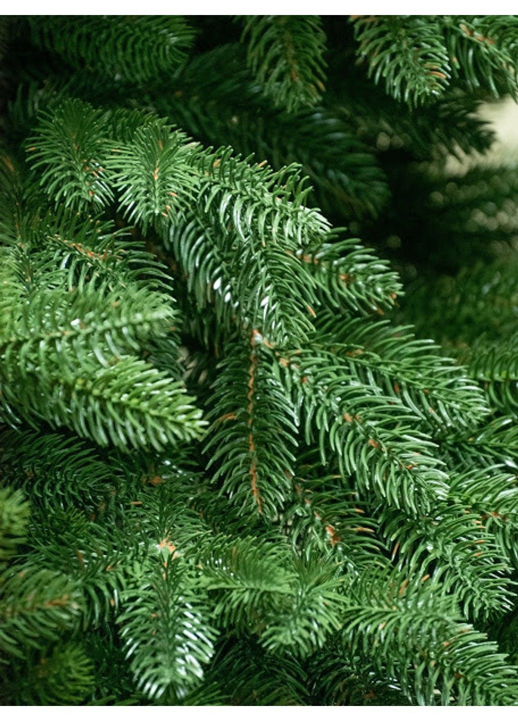 Штучна пухнаста ялинка Преміум (висота 1.50 м) лита (Зелена) No Brand (332635180)