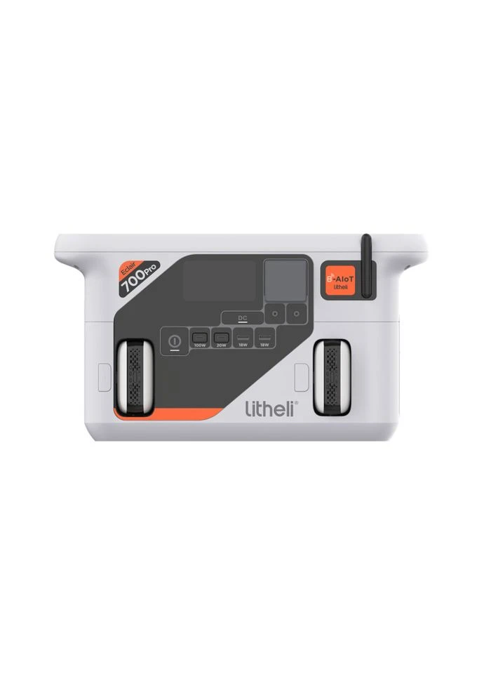 Портативная зарядная станция 800 Вт, 724 Вт·ч, LiFePO4 + 2 Power Bank Litheli (393986503)