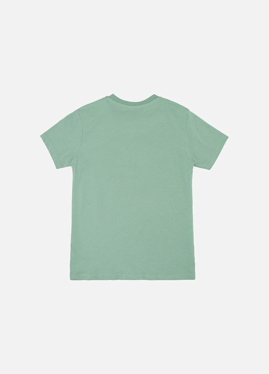 Оливковая летняя футболка с коротким рукавом для мальчика цвет оливковый цб-00246199 No Brand