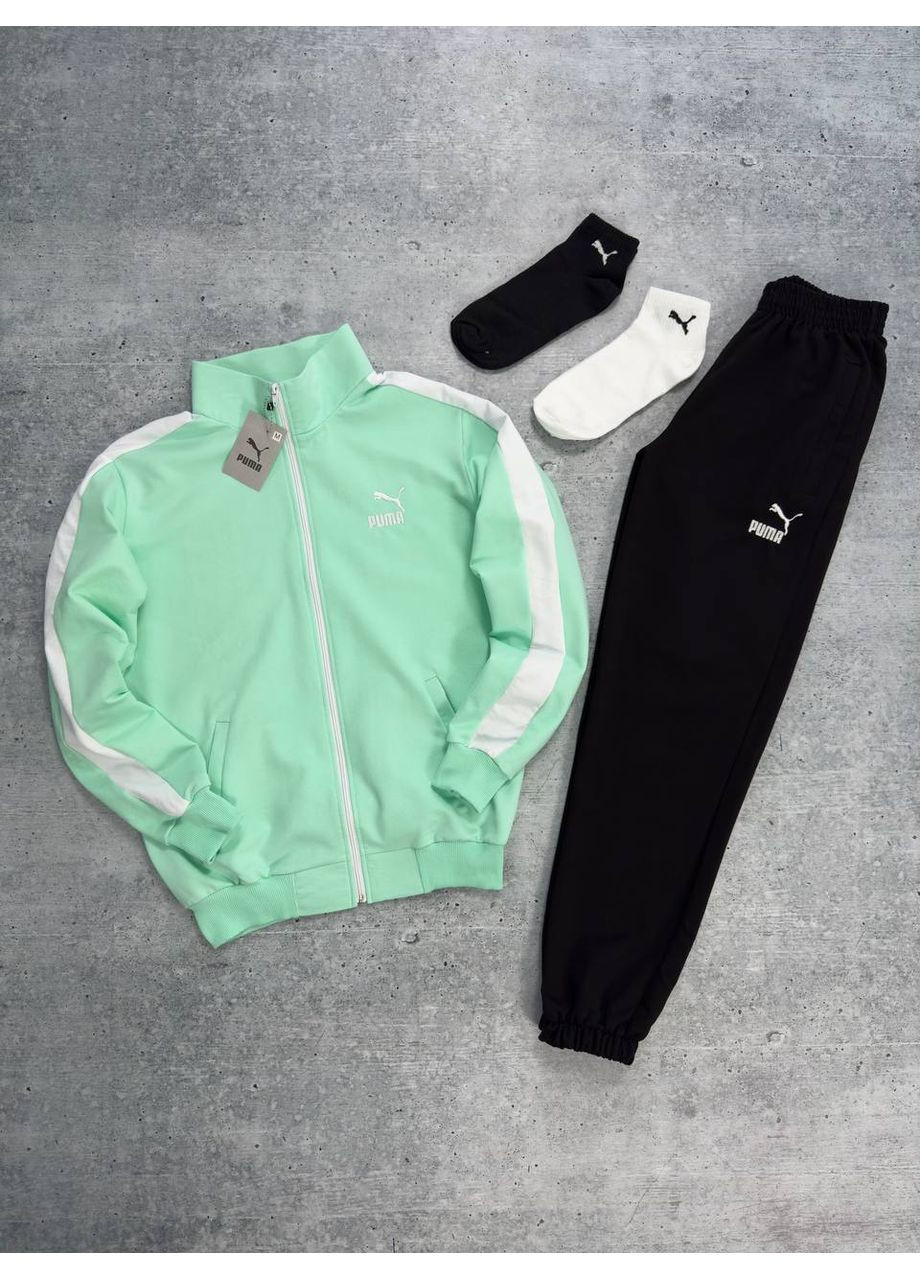 Спортивний костюм пума No Brand (353827640)