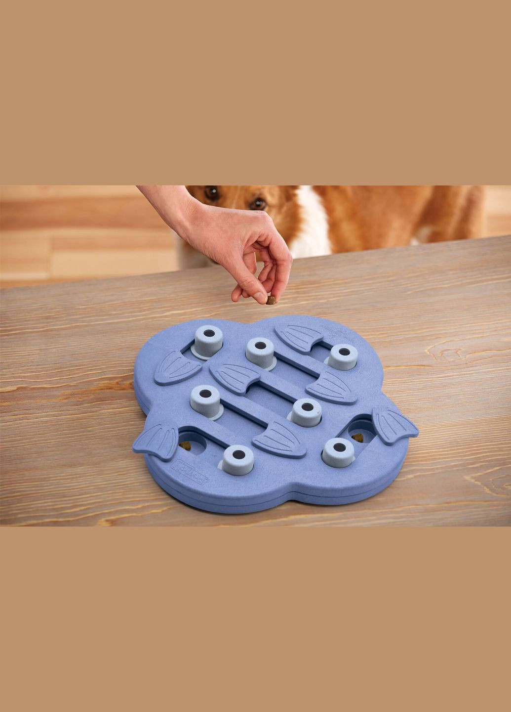 Іграшка інтерактивна для собак Dog Схованка (no69540) Nina Ottosson (315492606)