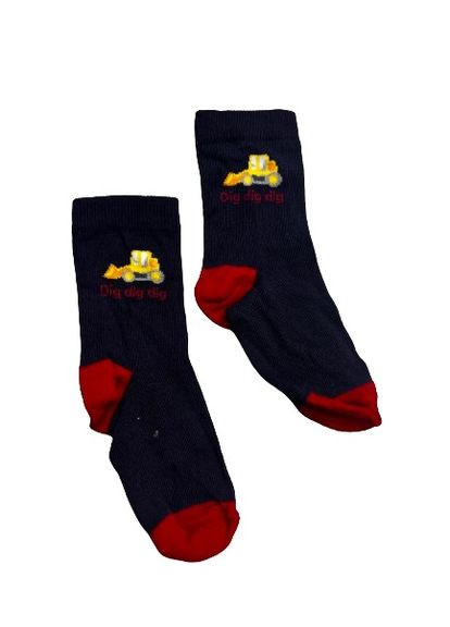 Шкарпетки Primark (289456136)