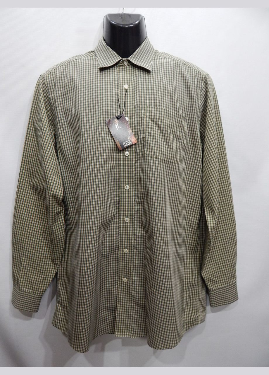 Зеленая кэжуал рубашка в клетку No Brand