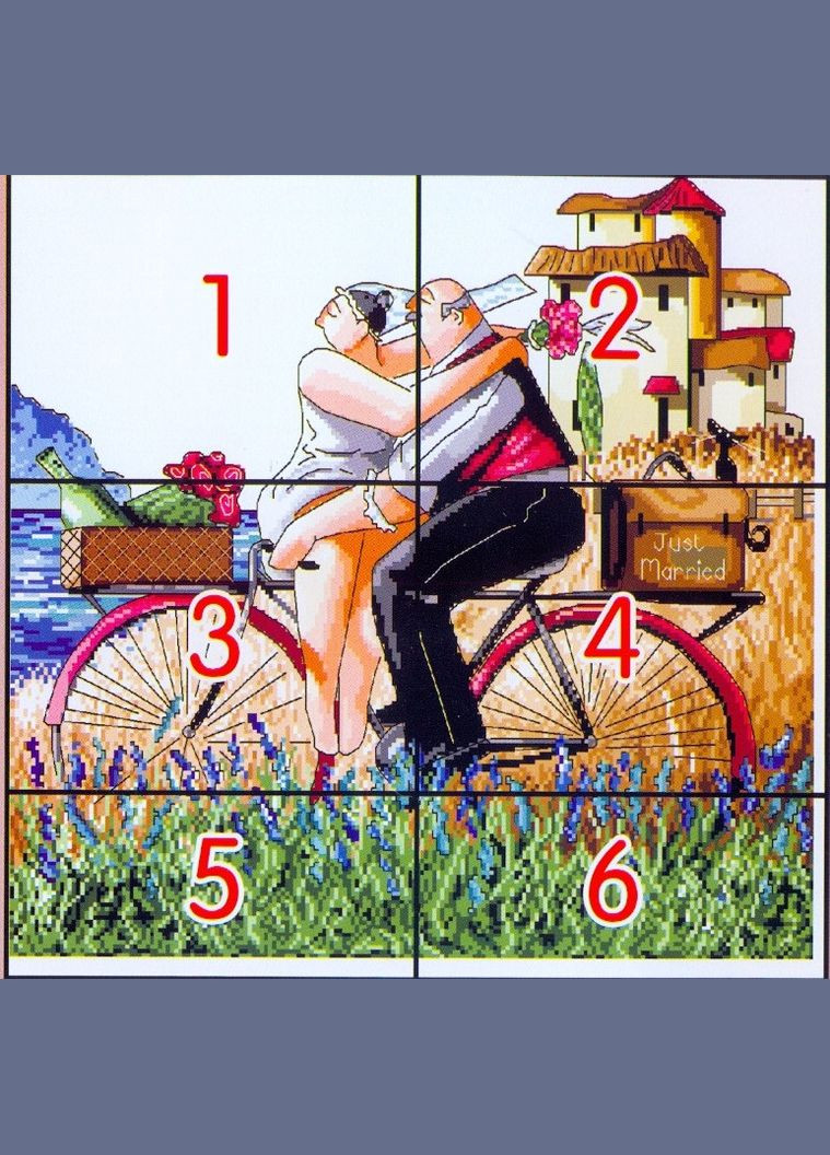 Набор для вышивания по нанесённой на канву схеме "We got married". AIDA 14CT printed 44*43 см Joy Sunday (313614603)