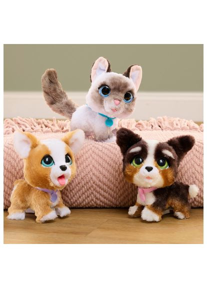 Интерактивная игрушка серии Wag-A-Lots - Котенок (28059) Furreal серії Wag-A-Lots - Кошеня (366104810)