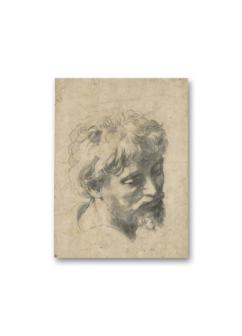 Печать на холсте Глава молодого апостола Рафаэля Санти 70x100 No Brand (346494407)