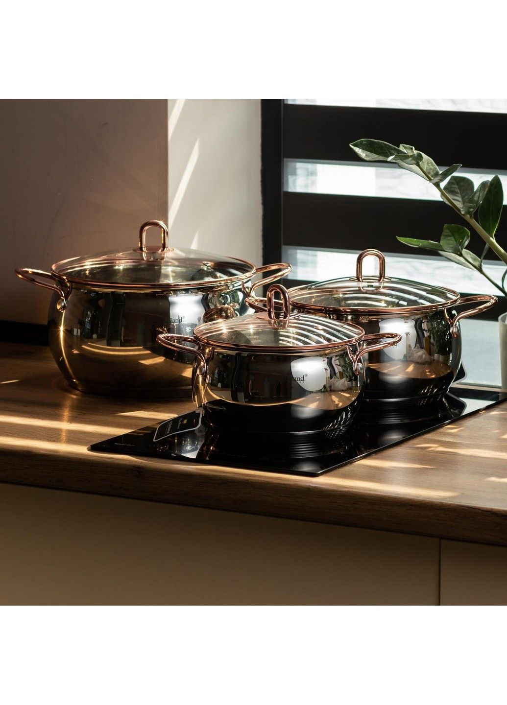 Кастрюли из нержавейки 3 штуки 6,1/3,6/2,6 л со стеклянными крышками Серебристый Haus Roland (340907767)