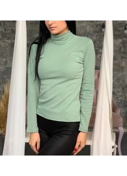 Теплая Водолазка (гольф) женский на флисе 14 цветов 52 54 56 58 No Brand (370389620)