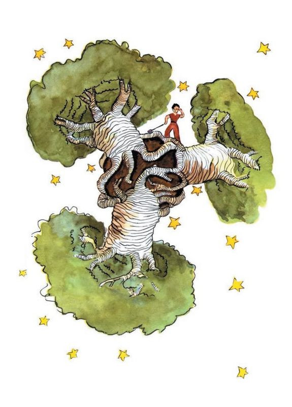 Книга Маленький принц ( ) Антуан де Сент-Екзюпері АССА (335210173)