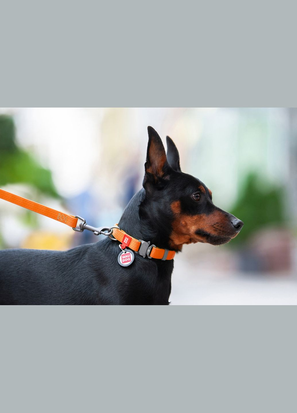 Нашийник для собак водостійкий Waterproof Металева пряжка-фастекс Ш 20 мм Д 24-40 см Жовтогарячий WAUDOG (323159782)