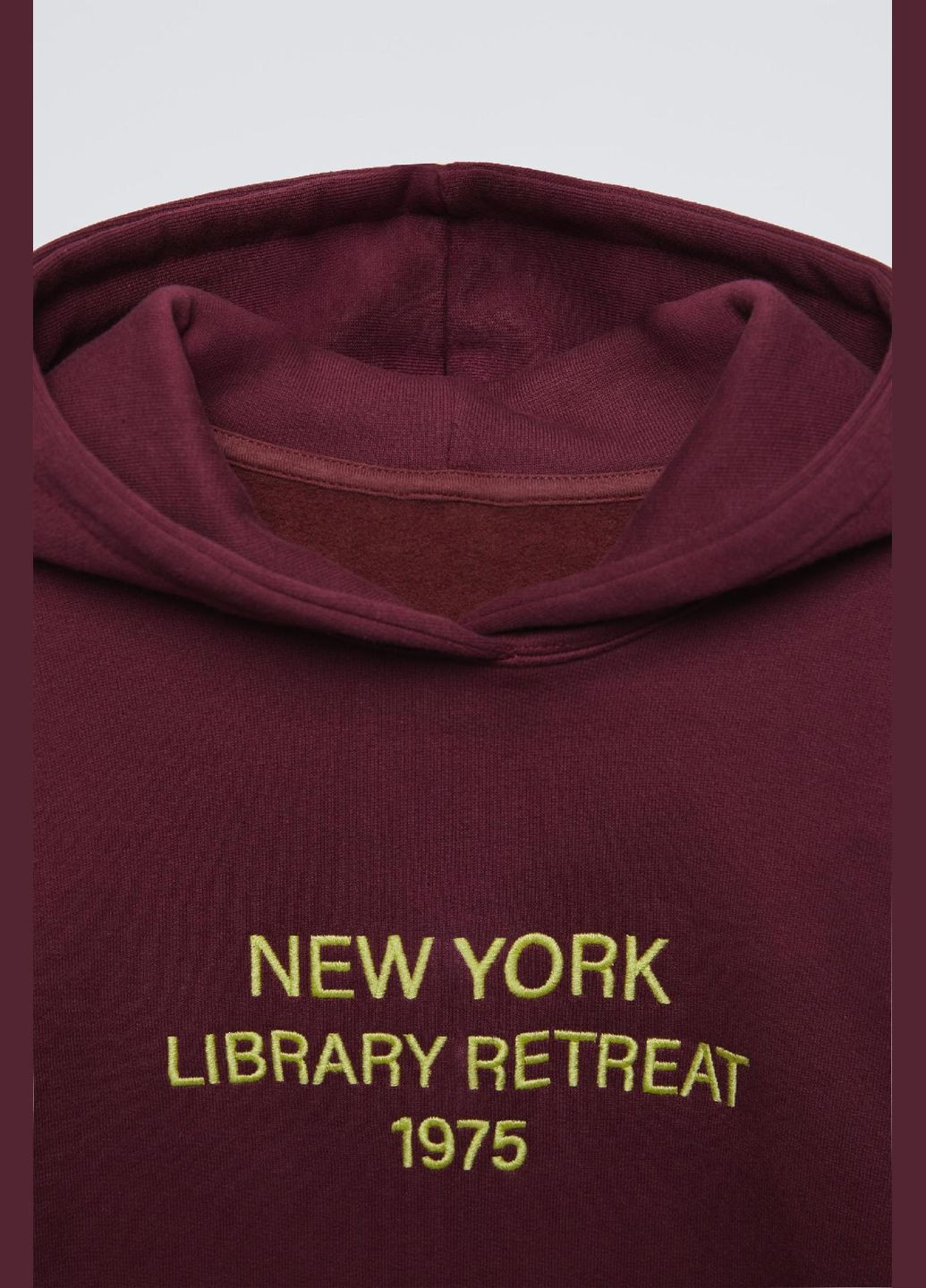 Дитячий теплий спортивний костюм (худі + штани) 5350/803 Каштановий Zara (316471343)