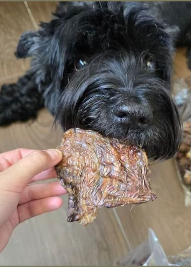 Натуральні ласощі для собак м'ясо молодого теляти сушені шматочками " " (Бетховен) Bethowen (326597404)