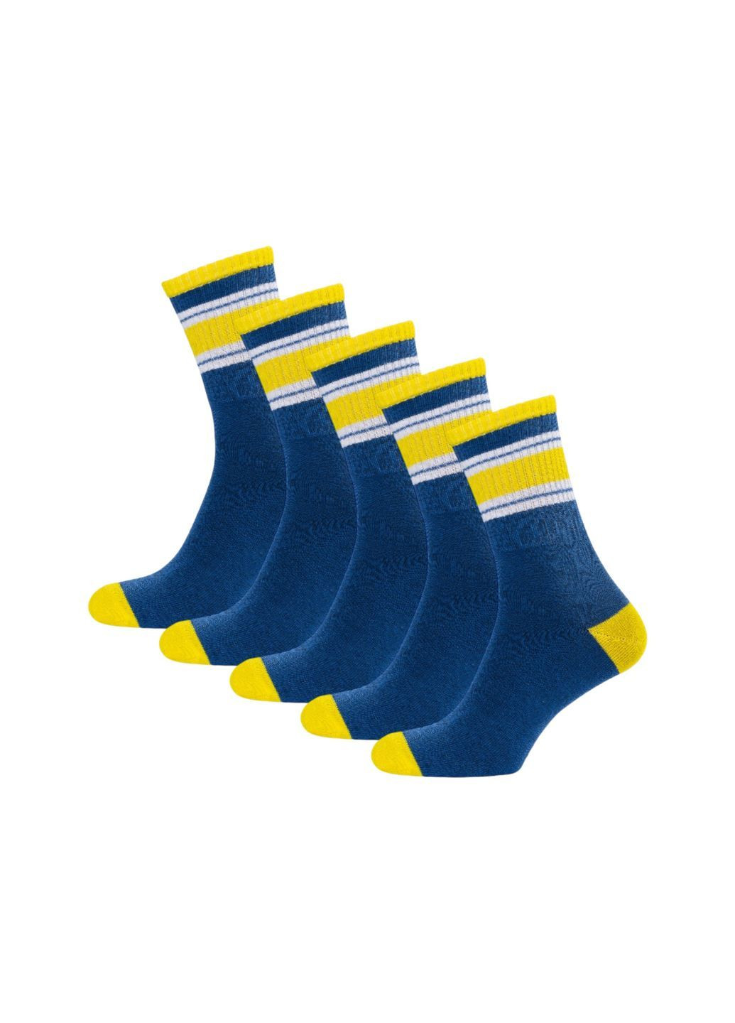 Синие набор (5 шт) женских носков Siela (302517302)