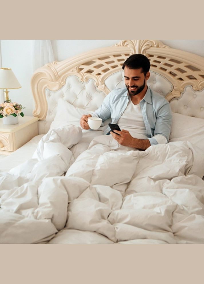 Ковдра Raffaello 051 демі 172x205 см 8061784 Mirson (316612923)