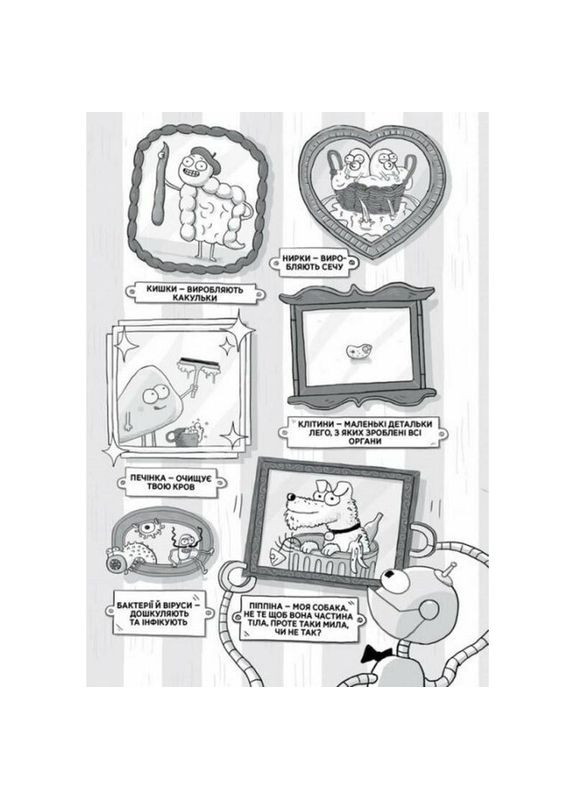 Энциклопедия дошкольника "Анатомия для детей" 154101 No Brand (329894427)