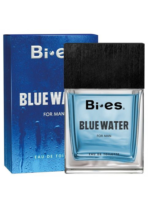 Туалетная вода мужская Blue Water 100 мл Биес Блу вотер Bi-Es (317273022)
