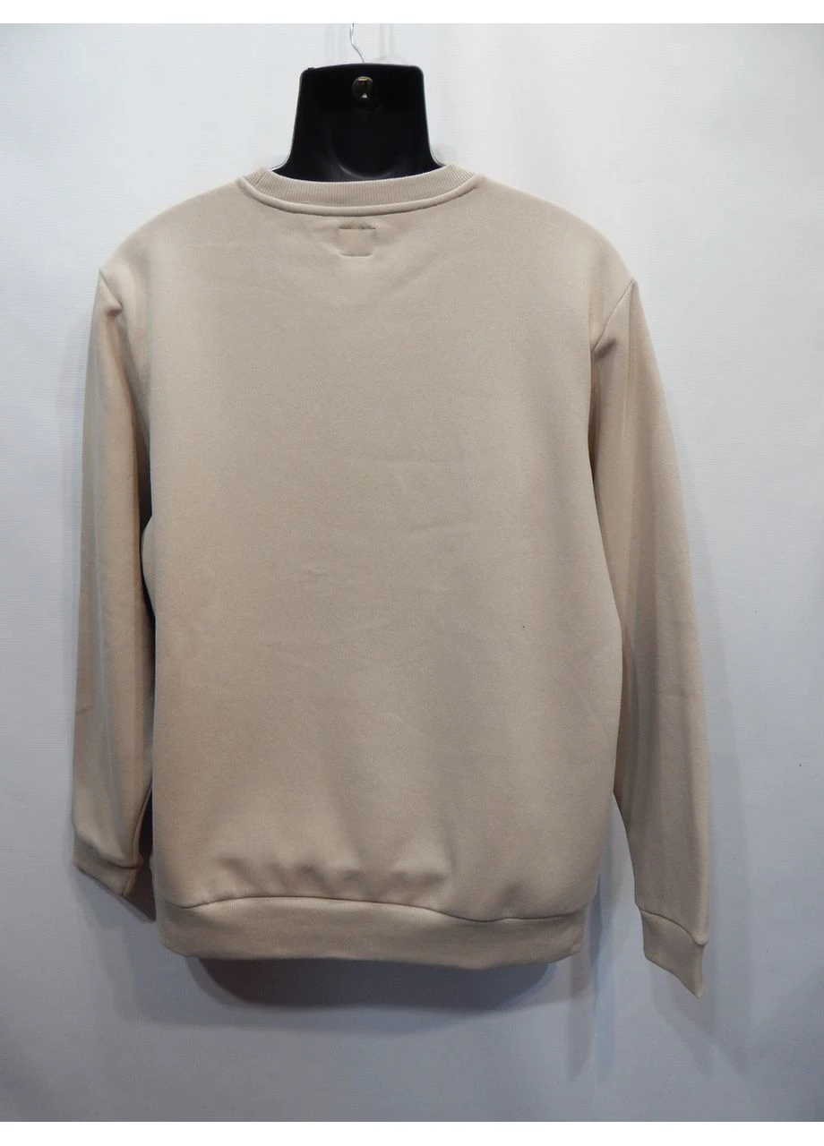 Чоловіча демісезонна тепла кофта (світшот) р.52 (XL) 077ZMT No Brand (391268886)