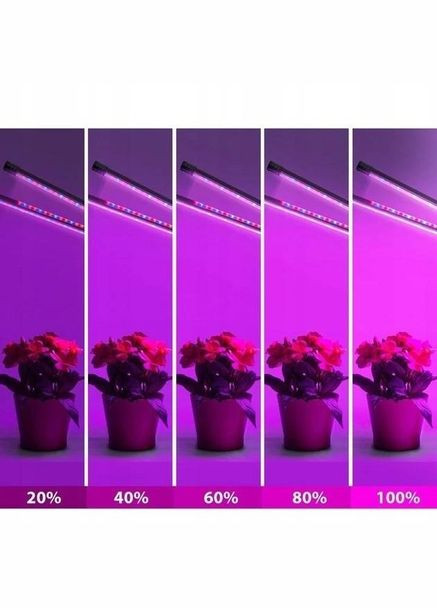 Фитолампа светодиодная для растений 2 лампы с таймером 3 режима на прищепке USB No Brand (348119019)