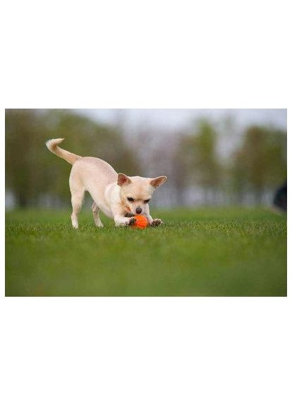 М'ячик Лайкер 5 см Collar (362136183)