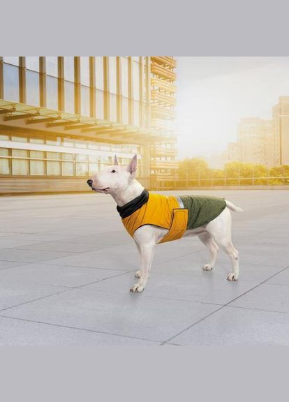 Попона «Roy» для собак, розмір, хакі-гірчиця (*) Pet Fashion (323153689)