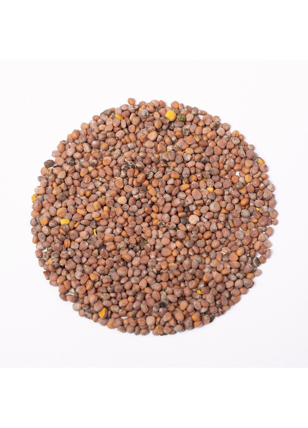 Семена микрозелени Green Chief Редиска зеленая Зелений Шеф (298051379)