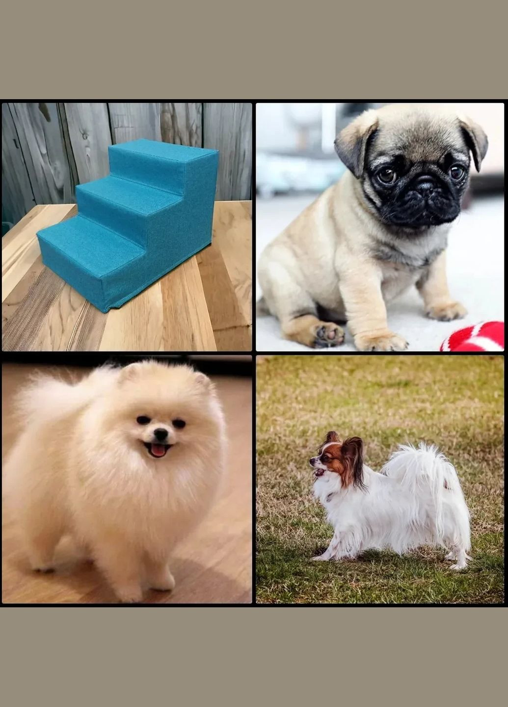 Лестница для собак купить Портативная лестница для собак Лестница для щенков Лесенка для щенков No Brand (339786131)