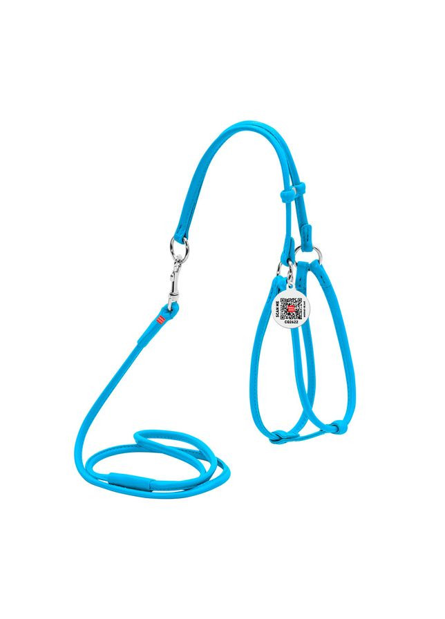 Шлей с поводком для собак кожаный WAUDOG Glamour с QR паспортом, круглый, Д 6 мм, А 42-60 см, В 46-64 см голубой No Brand (363200790)