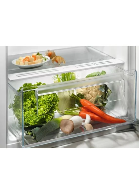 Встраиваемый холодильник Electrolux LRB3AE12S 208 л No Brand