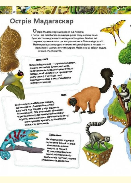 Удивительный мир животных. Детская энциклопедия Пегас (316082272)