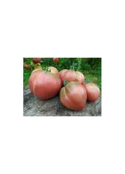 Семена томата Черроки фиолетовое сердце "Cherokee Purple Heart" 15 семян Seed.Ua (401669535)