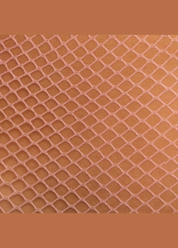 Колготи сітка дрібна висока талія пудра 80200 1-4 No Brand (308976992)