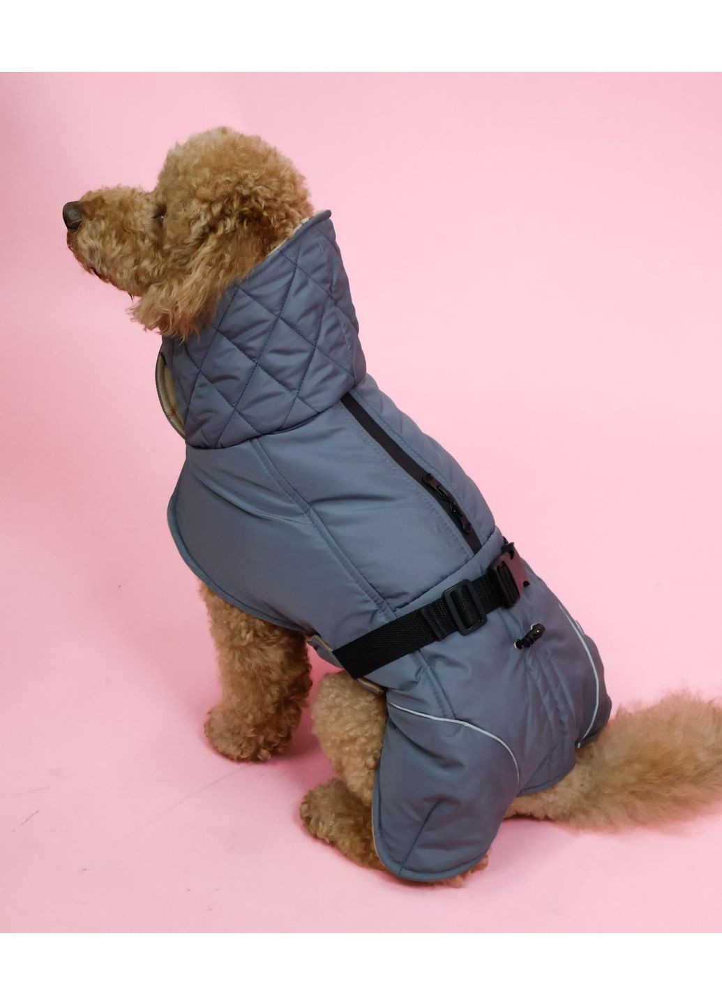 Жилет попона Для собак графит GP-8 Размер 8 Dogs Bomba (370275746)