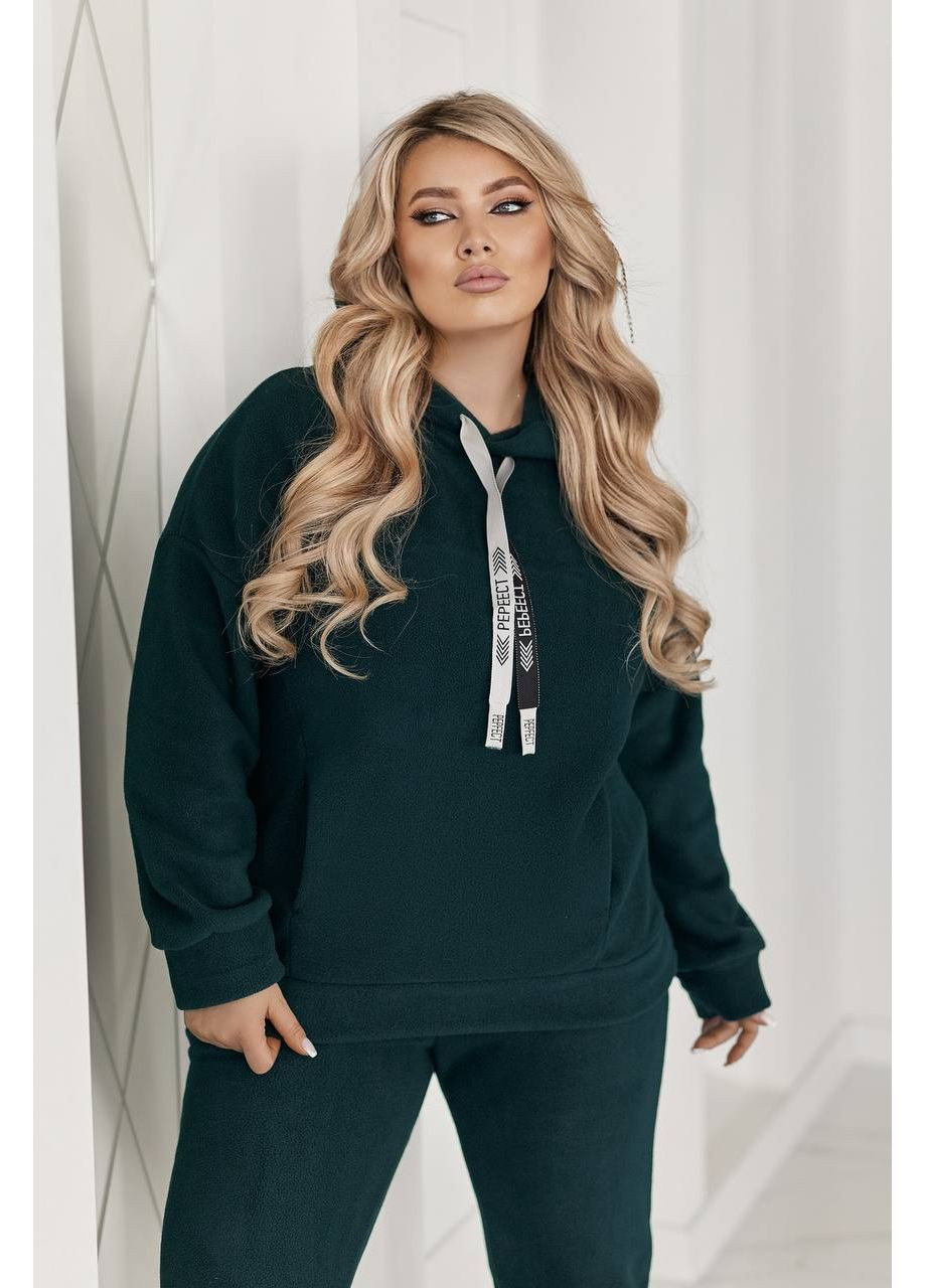 Костюм Двойка плотный Флис Полар,брюки и кофта с горловиной Україна (366892766)