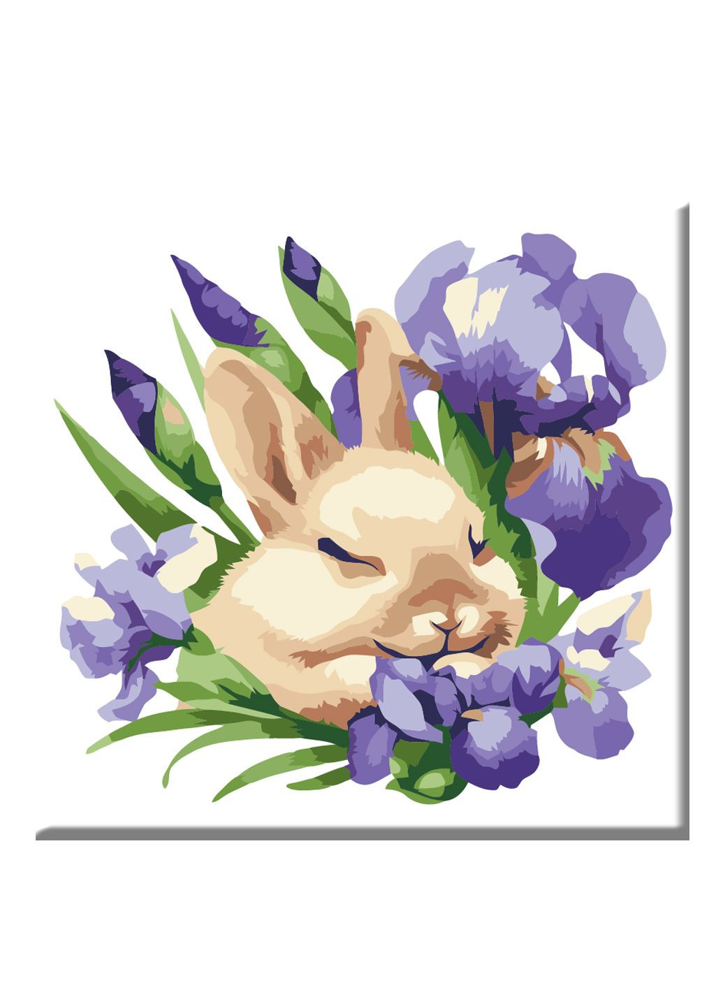 Картина за номерами 30*30 см Кролик та іриси ArtStory (290187363)