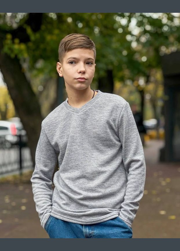 Серый демисезонный джемпер для мальчика hc (h001-6222-112) Be in fashion