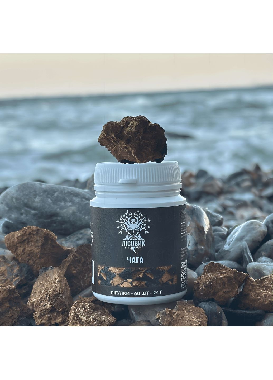 Чага березовая, пилюли по 60 шт 0.4 г Лісовик (334711095)