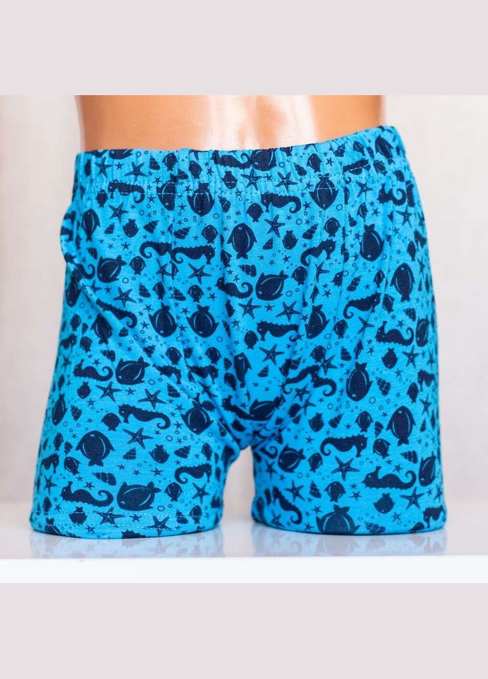 Набор детских трусов-боксеров для мальчика (5 шт.) Nicoletta (322313062)