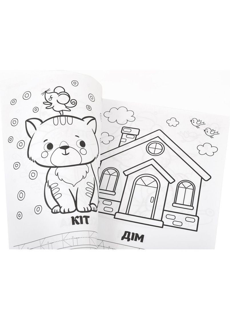 Розмальовка Перші слова з прописами 24 сторінки () 1 Вересня 742557 (366578374)