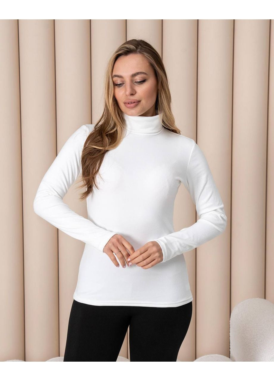 Жіноча тепла водолазка-гольф напівшерсть на термофлісі розмір DM09.09 No Brand (365654796)