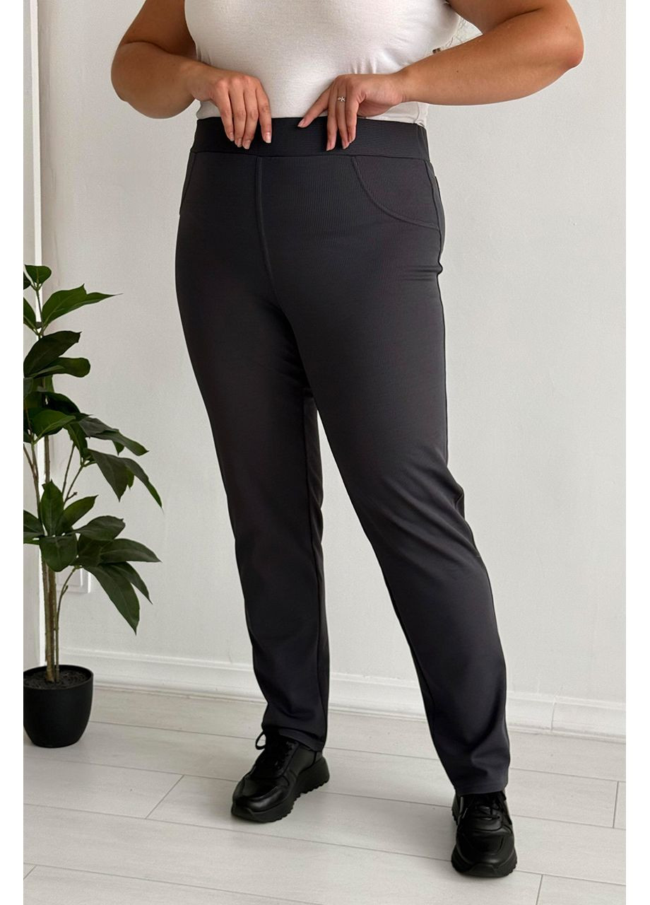 Штани великих розмірів утеплені без застібок висока посадка No Brand 1272 (351586449)