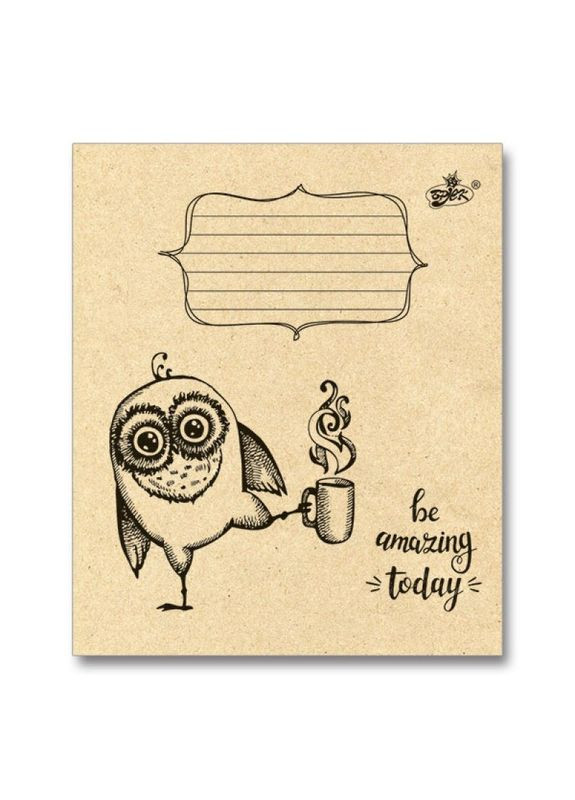 Зошит 24 арк., лінія, КРАФТ " " / Сова Бріск (356005945)