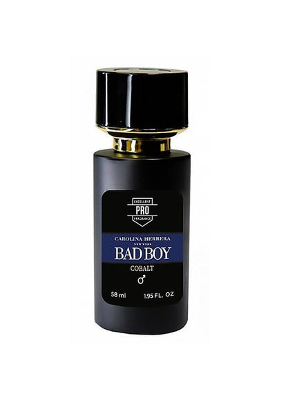 Устойчивый парфюм. Мужской. 58 мл No Brand (324610232)