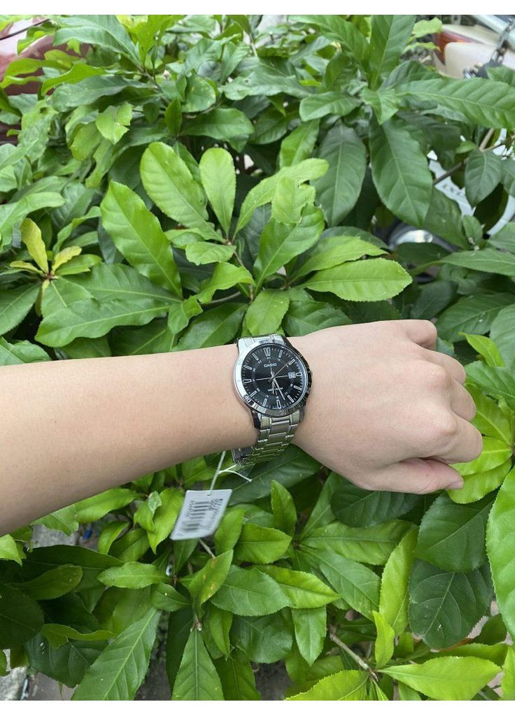 Наручний годинник MTP-V004D-1C Casio (322777877)