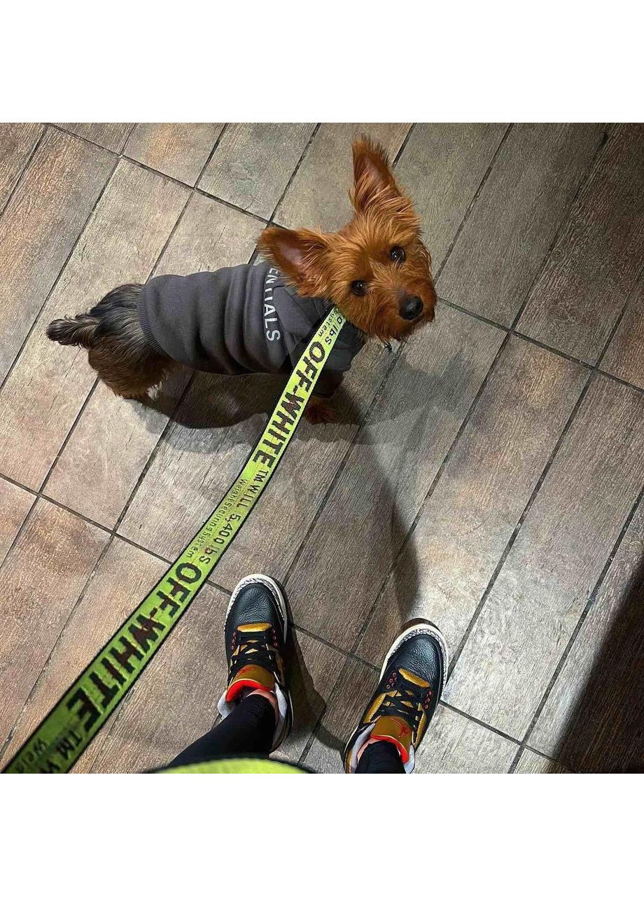 Толстовка для собак и кошек Essentials с капюшоном No Brand (362571989)