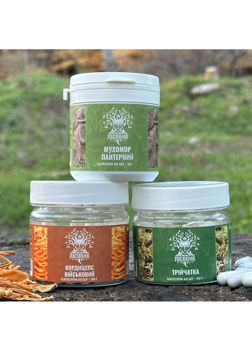 Курс Детокс перезавантаження тіла та розуму (1 місяць) Лісовик (364210612)