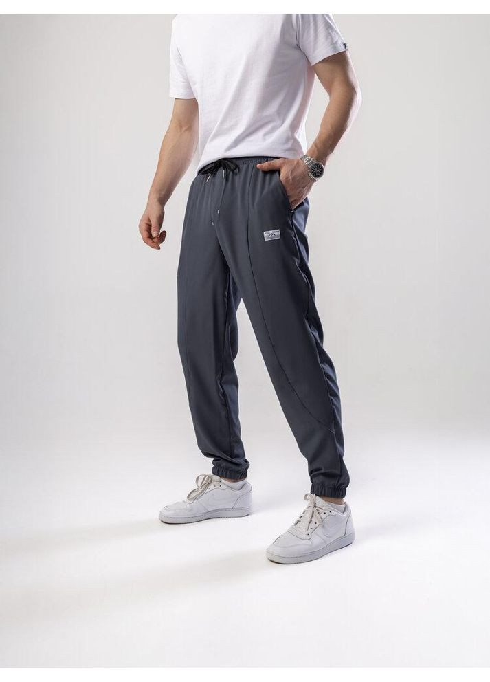 Серые повседневный демисезонные брюки Freedom