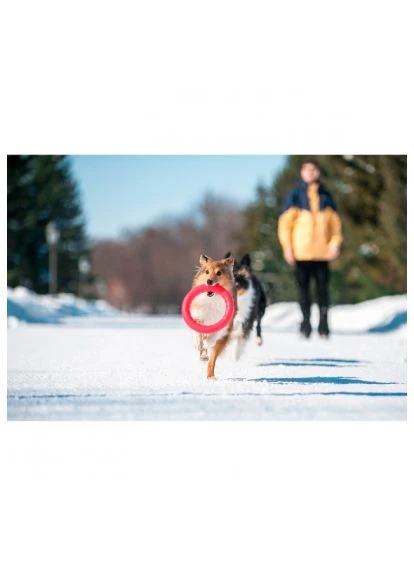 Іграшка для собак PitchDog Кільце для апортування 17 см рожеве (62367) Collar PitchDog Кільце для апортування 17 см рожеве (382191829)