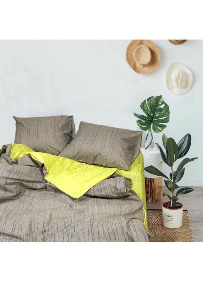 Постельное белье двуспальное Ранфорс 20109-2 210х175 см Viluta (336327974)