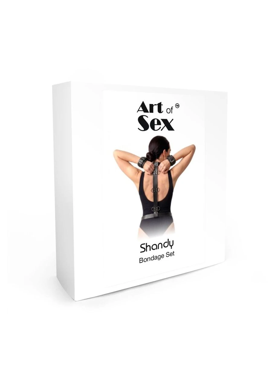 Бондажный набор Shandy L-2XL, экокожа, Art of Sex (401895059)